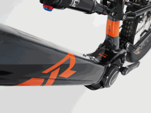 Bicicletta elettrica RAYMON FULLRAY 8.0 2021