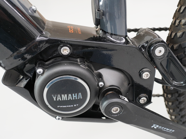 Bicicletta elettrica RAYMON FULLRAY 8.0 2021
