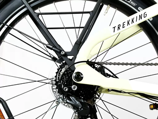 Bicicletta elettrica HAIBIKE Trekking 4 i500Wh 9-G Altus 2021